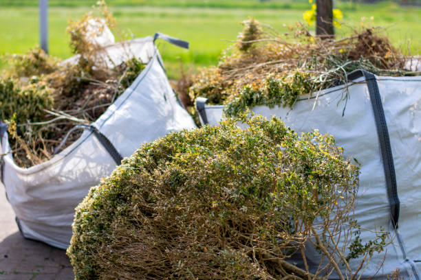 Best Basement Cleanout Services  in Keego Harbor, MI
